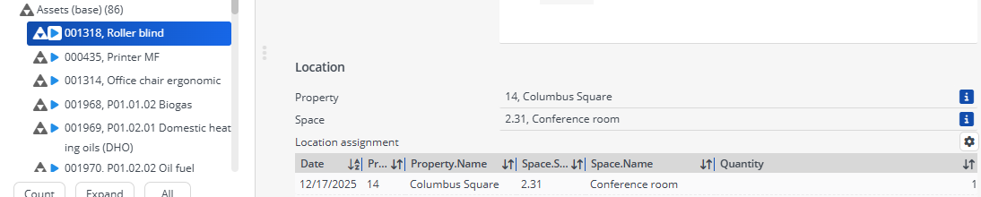 Screen capture of a simple asset record with a quantity higher than 1