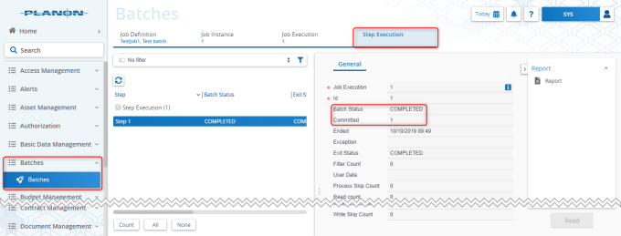Batch information on the Step execution level - here the batch status is displayed.