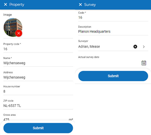 Screen capture of Property and Survey details page