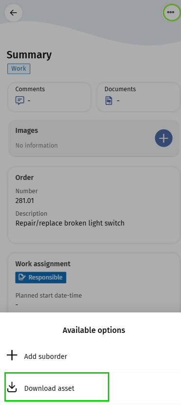 Screen capture of Summary page with Download asset button