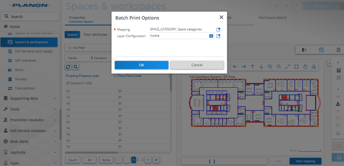 screen capture of Spaces and Workspaces TSI displaying Batch Print Options dialog box
